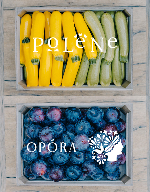 POLENExOPORA