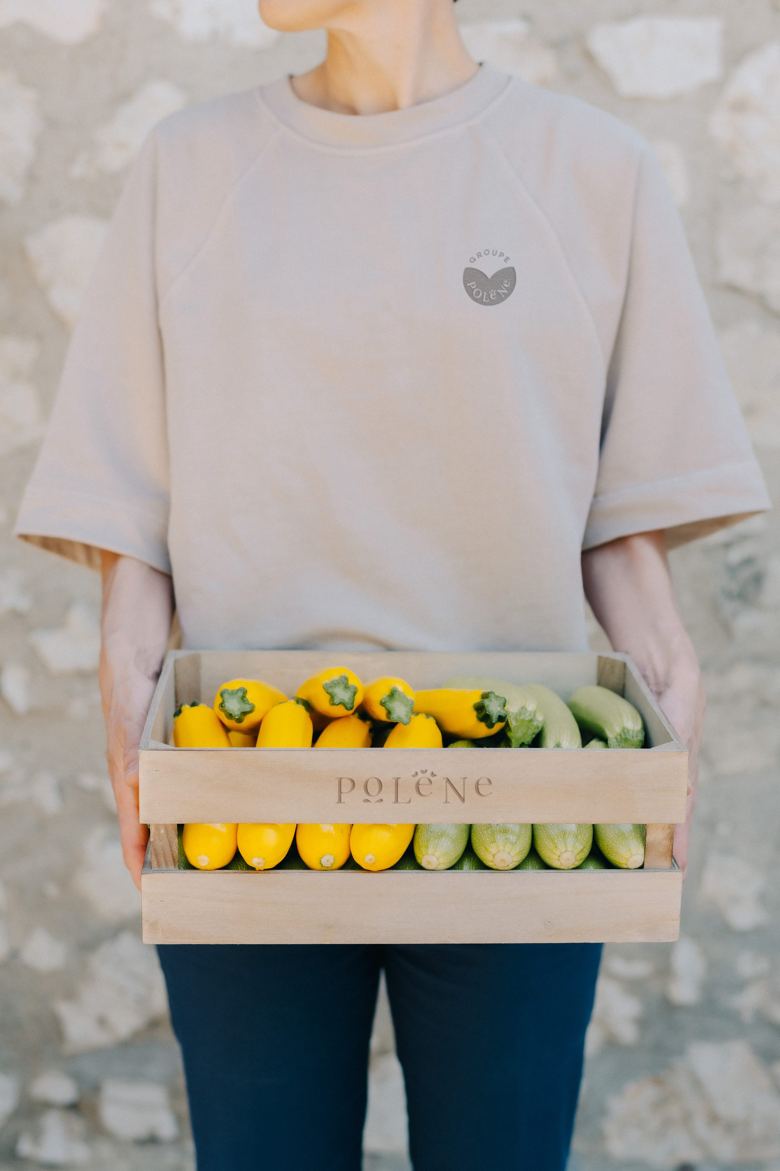 PoleneGroupeVertical